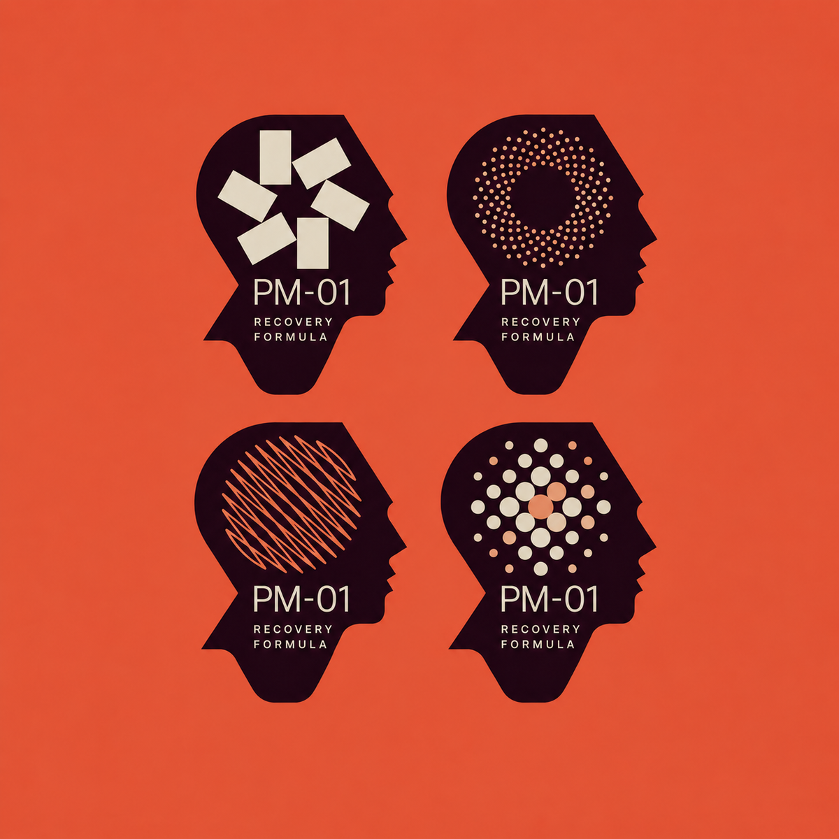 PM-01 recovery formula
